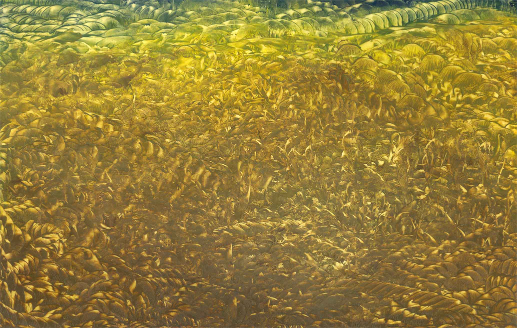 Multidimensional Artist