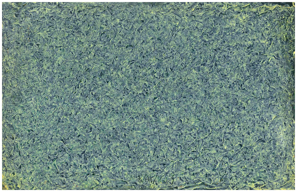 Multidimensional Artist